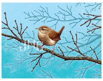 Wren on a Bare Branch