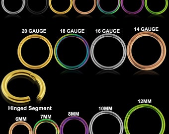 Anillo de nariz de titanio/clicker de tabique/pendiente de cartílago- Anillo de segmento con bisagras- Aro 18G/ 16G/ 14G (múltiples colores disponibles)