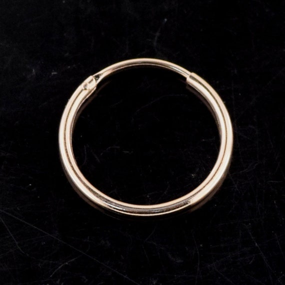 Thin hinged nose ring deals
