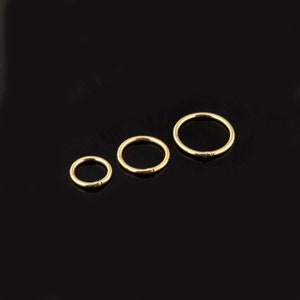 14K Gold Nasenring Klassisches Klappsegment Clicker Nase Hoop Nasenreifen mehrere Größen erhältlich Bild 1