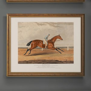 Tarrare Racehorse Portrait Thoroughbred Vintage Equestrian Home Decor Wall Art Print Gift For Horse Lover Traditional Equestrian Painting