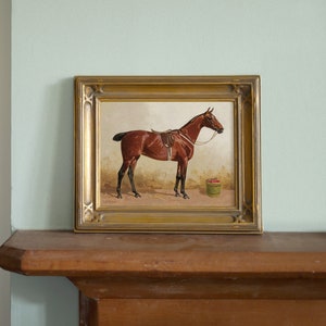 Vintage Bay Thoroughbred Horse Print  |  Antique Horse Picture  |  Gift for Equestrian  |  Vintage Equine Home Decor  |  Sporting Art Print