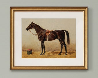 Vintage Equestrian Print of a Dark Bay Horse  |  Antique Horse Art  |  Gift for Equestrian  |  Equestrian Home Decor  |  Horse Painting