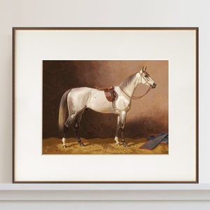 Vintage Grey Thoroughbred Horse Print  |  Antique Horse Painting  |  Gift for Equestrian  |  Vintage Equine Home Decor  |  Horse Wall Art