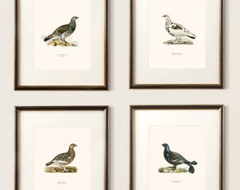 Vintage Bird Hunting Print Set, Game Bird Wall Art, Pheasant Lithograph, Hunting Prints, Old Money Style, Masculine Office Southern Decor