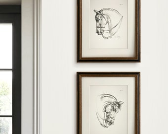 Vintage Horse Sketch Prints Wall Art Set Equestrian Drawings Neutral Black and White Art Print Set Gift for Horse Lover Equestrian Decor