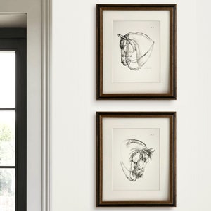Vintage Horse Sketch Prints Wall Art Set Equestrian Drawings Neutral Black and White Art Print Set Gift for Horse Lover Equestrian Decor