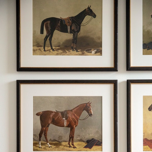 Set of 4 Vintage Horse Prints | Equestrian Style | Horse Lover Gift | Equine Home Decor | Horse Painting | Farmhouse Art | Antique Horse