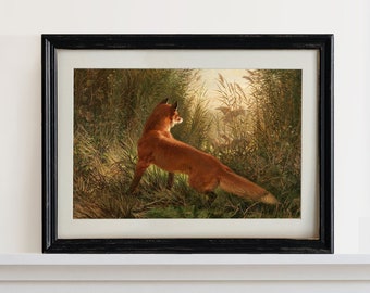 Vintage Fox Painting | Fox Hunting Wall Art Print | Antique Animal Picture | Masculine Print for Office or Cabin | Equestrian Home Decor
