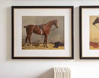 Vintage Horse Prints  |  Equestrian Style  |  Gift for Equestrian  |  Equine Art  |  Horse Painting  |  Horse Gallery Set  |  Sporting Art