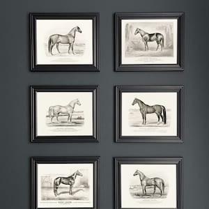 Vintage farmhouse home decor horse art print set