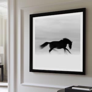 Black and White Horse Print | Wild Horse Art | Equestrian Photo Print | Western Aesthetic | Modern Horse Wall Art | Equestrian Home Decor