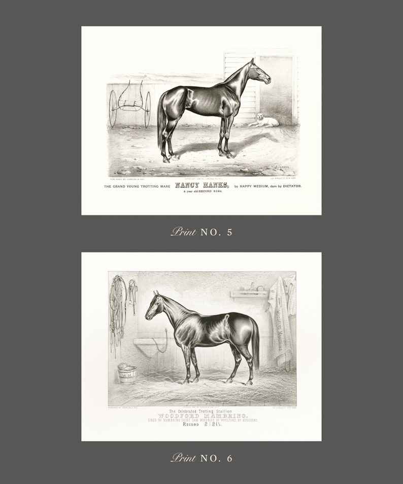 May include: Two black and white illustrations of horses. The first image shows a horse named "Nancy Hanes" with the text "The Grand Young Trotting Mare" and "Print No. 5". The second image shows a horse named "Woodford Mambrino" with the text "The Celebrated Trotting Stallion" and "Print No. 6".