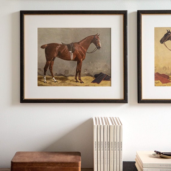 Home Decor Wall Decor Wall Hangings Horse Photographs Horse Pictures
