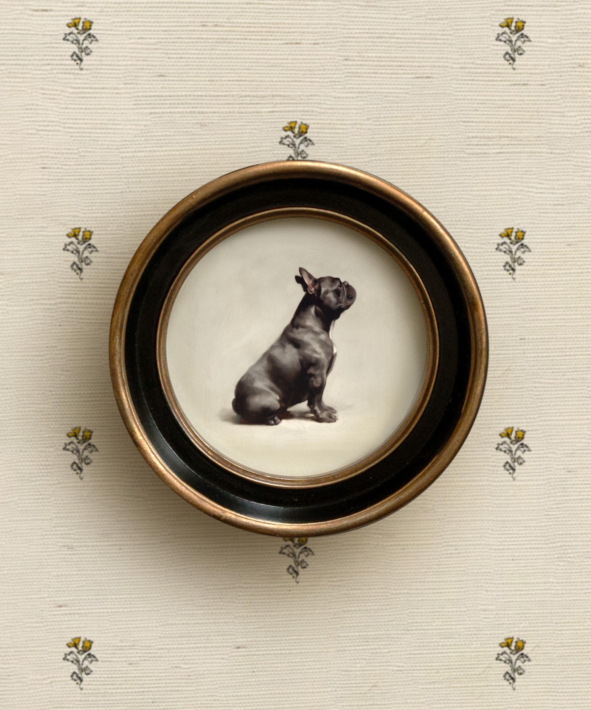 Décoration Murale Encadrée Design Chien Frenchie (style Crayonné)