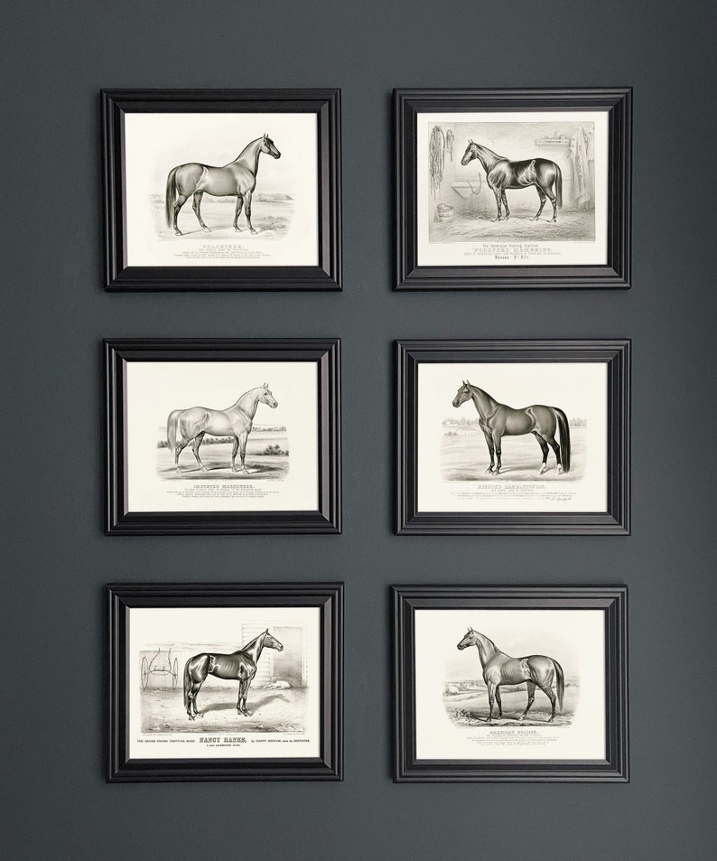 Vintage farmhouse home decor horse art print set