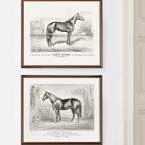 Vintage black and white horse lithograph print set