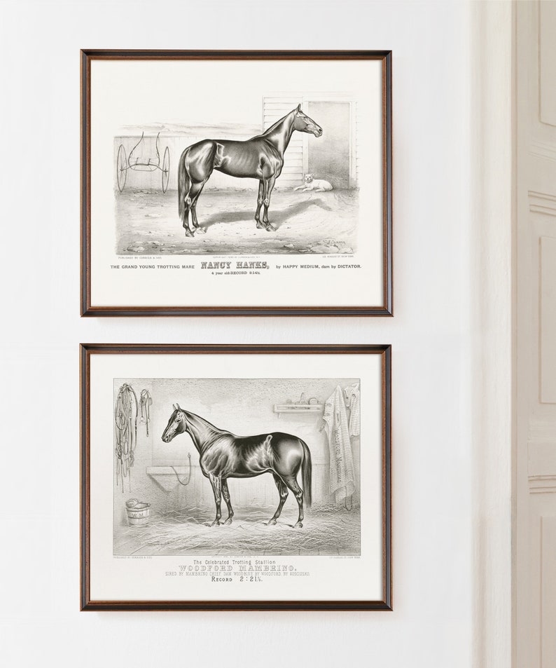 Vintage black and white horse lithograph print set