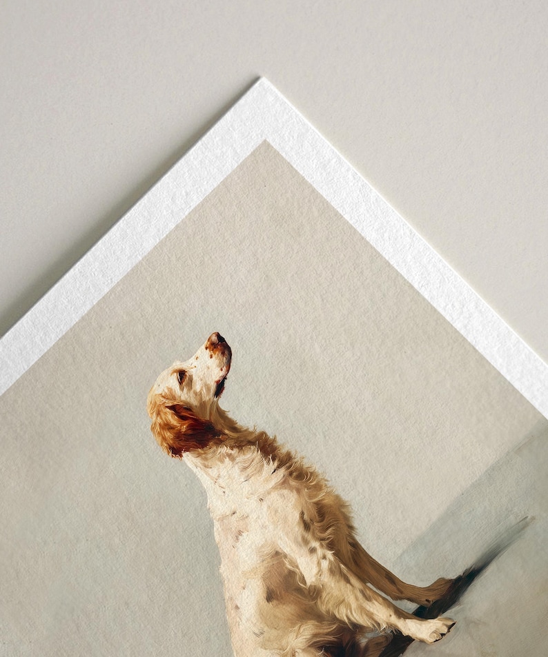 May include: A print of a dog with cream and brown fur, looking upwards. The dog is positioned on a light gray background, with a white border around the print. The dog's fur has a textured appearance, and the artwork has a vintage aesthetic.