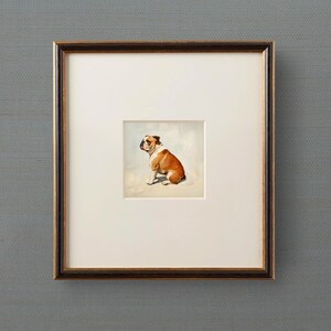 May include: A framed painting of a brown and white bulldog sitting on a light gray background.