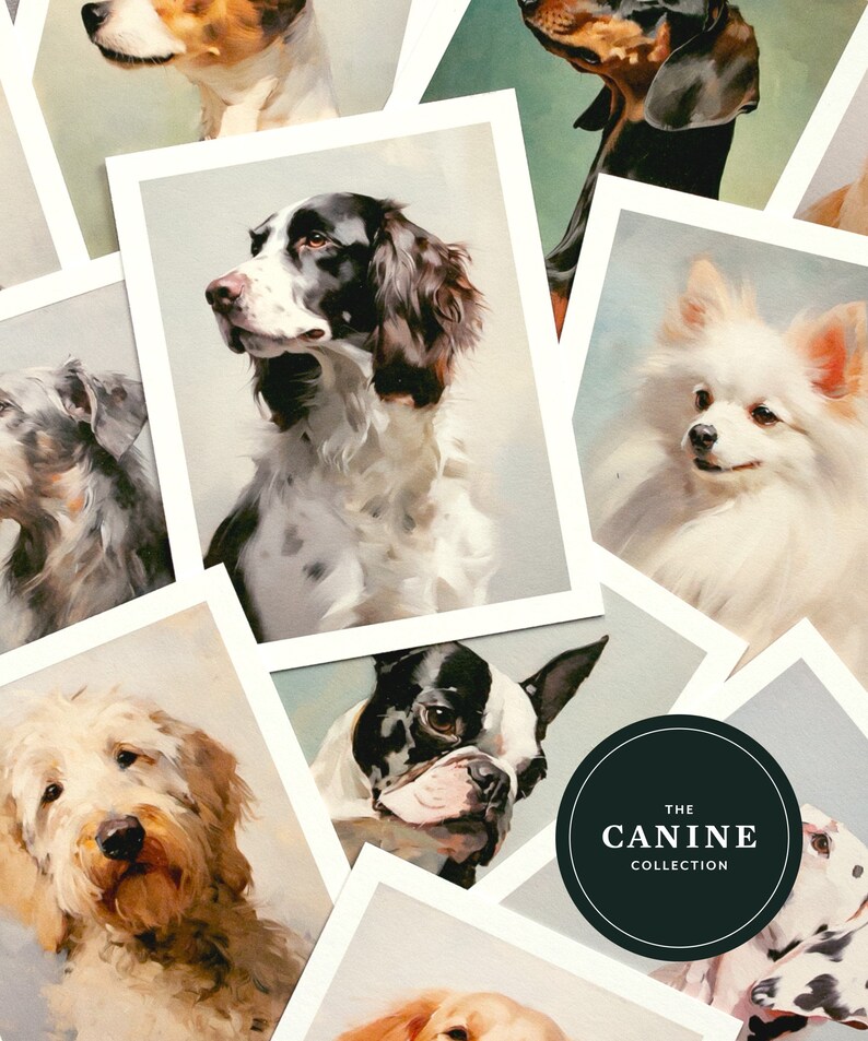 May include: A collection of paintings featuring various dog breeds, including a Springer Spaniel, a Pomeranian, a French Bulldog, a Golden Retriever, and a Dachshund. The paintings are framed in white and have a textured background. The text "THE CANINE COLLECTION" is displayed in a black circle.