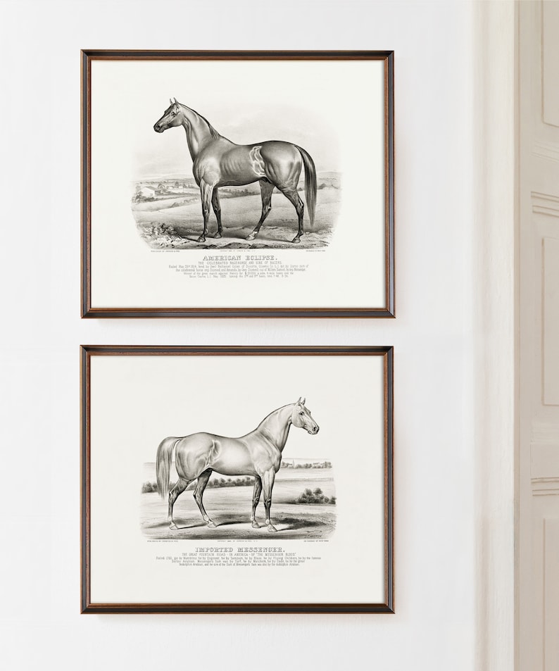 Vintage black and white horse lithograph print set