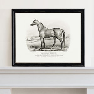 Framed vintage black and white horse art print