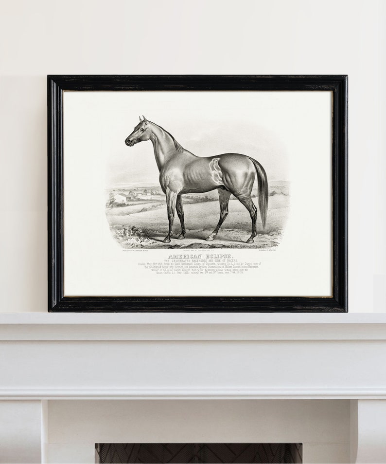Framed vintage black and white horse art print