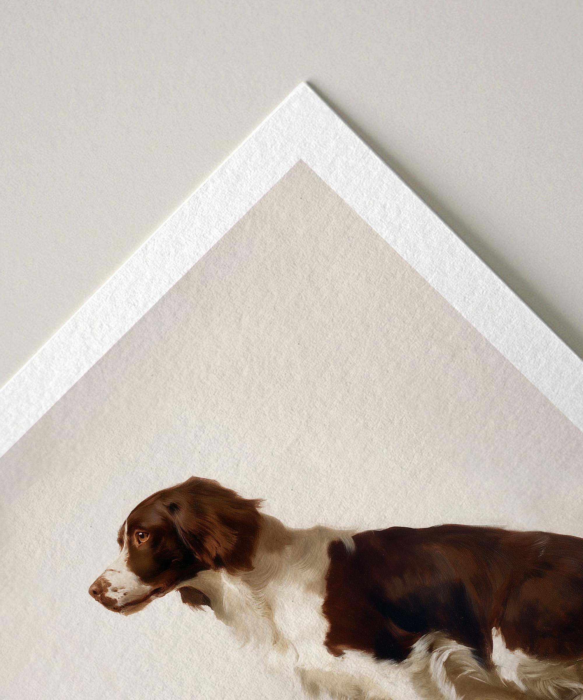 Springer Spaniel Art Print With Vintage Style Round Frame | English ...