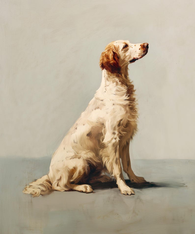 May include: A painting of a seated English Setter dog. The dog has a white coat with brown markings and long, flowing fur. It is looking upwards with a focused expression. The background is a soft, muted gray.