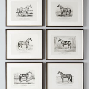 May include: Set of five black framed prints featuring vintage illustrations of horses. Each print features a different horse breed with its name printed below the image.