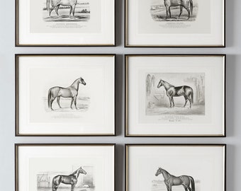 Vintage Horse Print Set Black and White | Set of 6 Equestrian Art Prints | Equestrian Home Decor | English Farmhouse Art | Horse Drawings