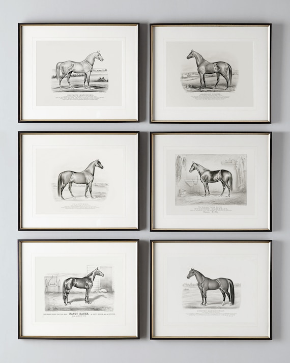 Vintage Horse Print Set Black and White | Set of 6 Equestrian Art Prints | Equestrian Home Decor | English Farmhouse Art | Horse Drawings
