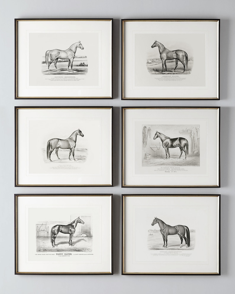 May include: Set of five black framed prints featuring vintage illustrations of horses. Each print features a different horse breed with its name printed below the image.