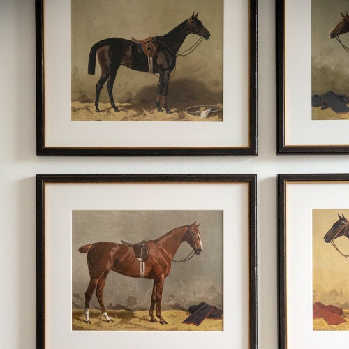 Set of Horse Paintings Horse Prints Equestrian Style Etsy