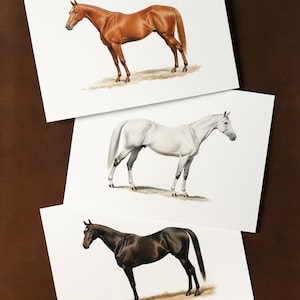 Vintage Horse Lithograph Prints | Equestrian Gallery Wall Set of Paintings | Horse Art Prints | Equestrian Decor Wall Art | Modern Farmhouse