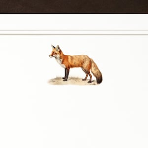Fox Stationery Notecard Set | Equestrian Thank You Cards | Vintage Fox Hunting Thank You Note | Gift for Fox Lover | Preppy Fox Card image 2