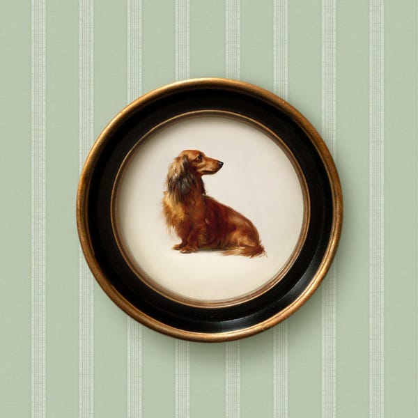Long Haired Red Dachshund Art Print | Brown Doxie Wiener Dog Portrait Vintage Style Round Frame | Small Dog Home Decor, Office, Nursery