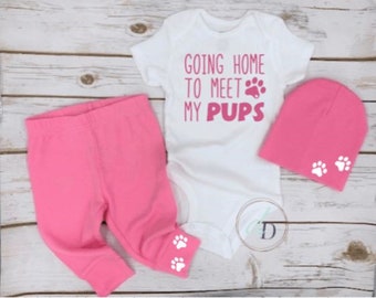 Going Home to Meet My Pups, Meeting My Dogs, Bringing Home Baby Outfit, baby girl outfit, Bringing Home Baby Outfit,fur babies, pink hat