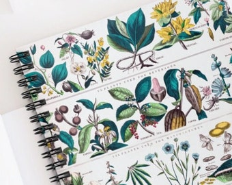 To Do List Notebook | Plant Journal | Cute Notebooks | Mini Notebook | Plant Mama | Leaf Notebook | Plant Lovers Gift | Fun Notebook
