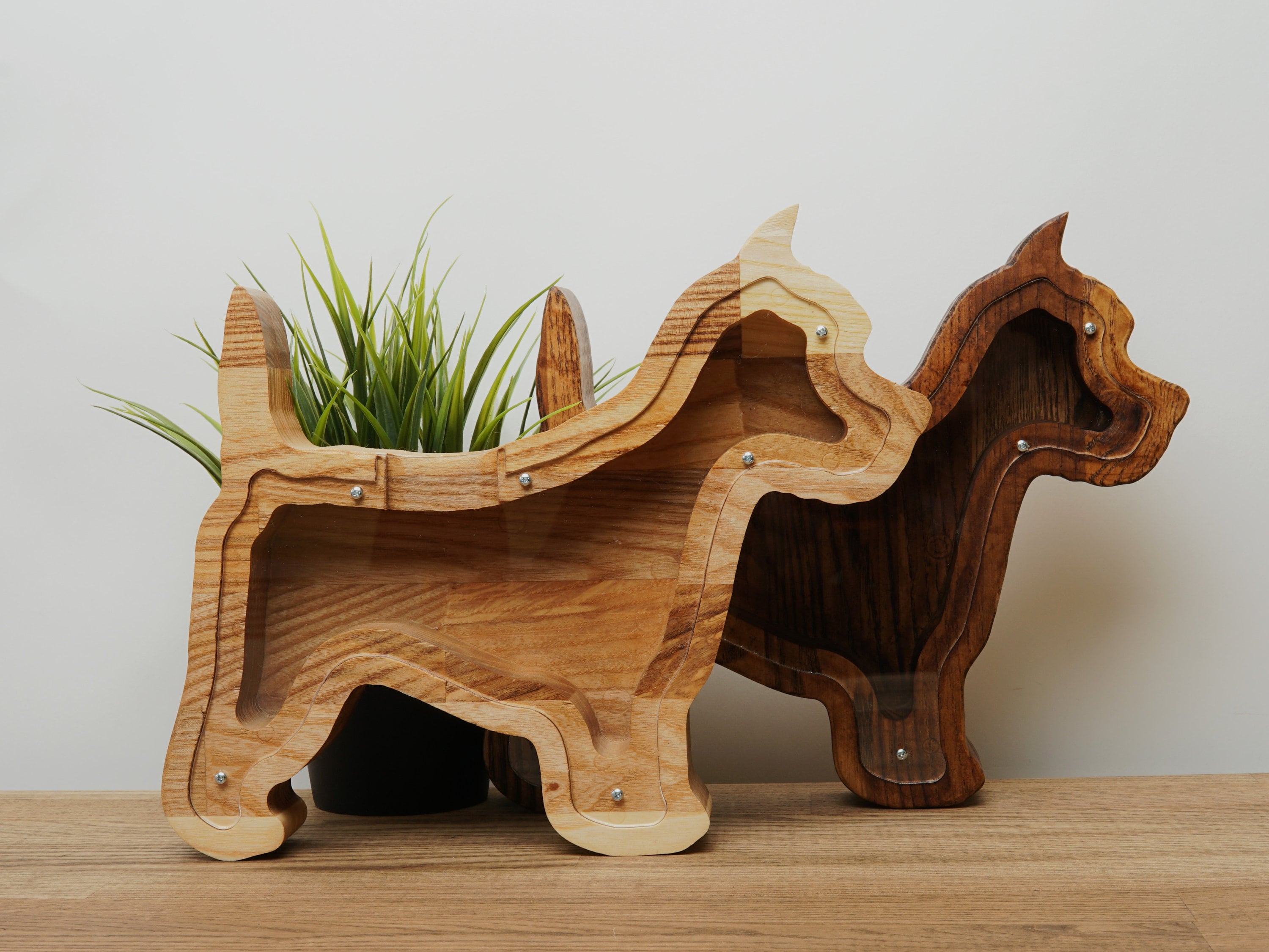 Puppy adventure box online