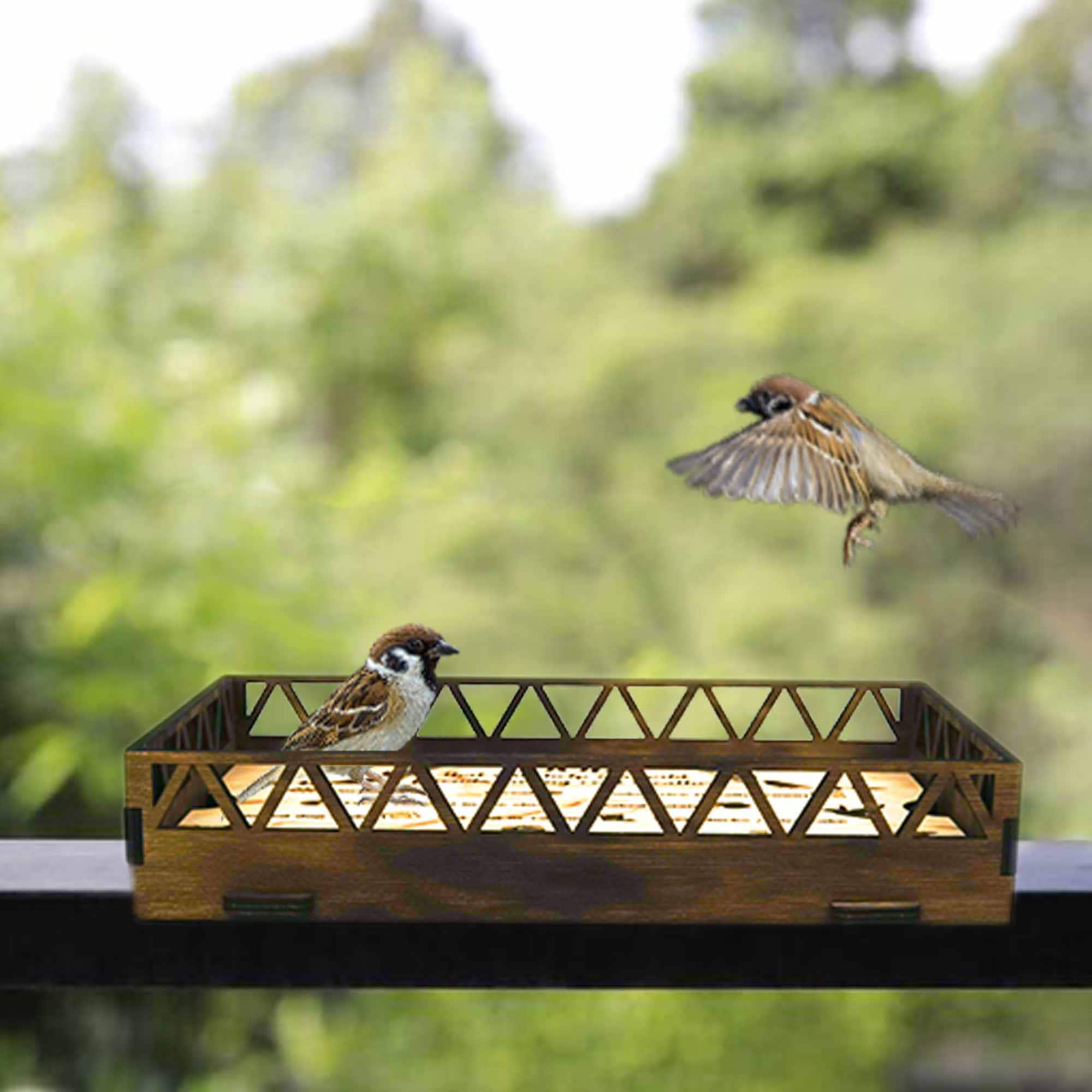 Inspiring Bird Feeder For Balcony Gallery