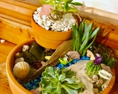 Succulent River Garden