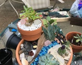 Succulent River Garden