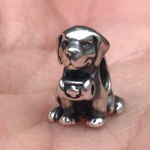 St bernard pandora charm clearance