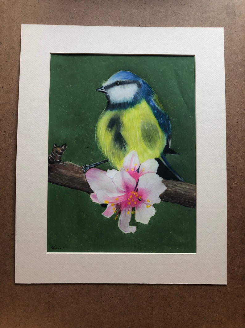 Bird And Branch Animal Drawing Colored Pencil Drawing Illustration