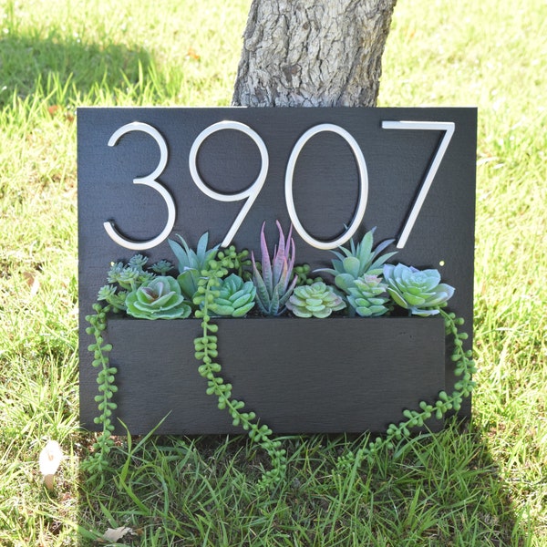 Succulent Arrangement for Your Address Planter - Add-on Item