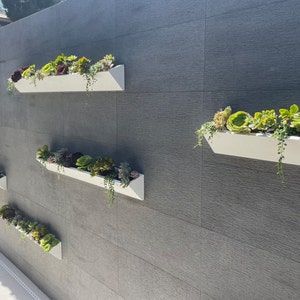 Long Wall Planter | Indoor & Outdoor Garden Succulent Box | Long Modern Succulent Planter | Curb Appeal