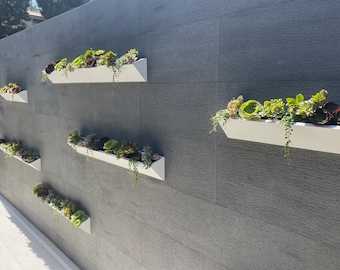 Long Wall Planter | Indoor & Outdoor Garden Succulent Box | Long Modern Succulent Planter | Curb Appeal