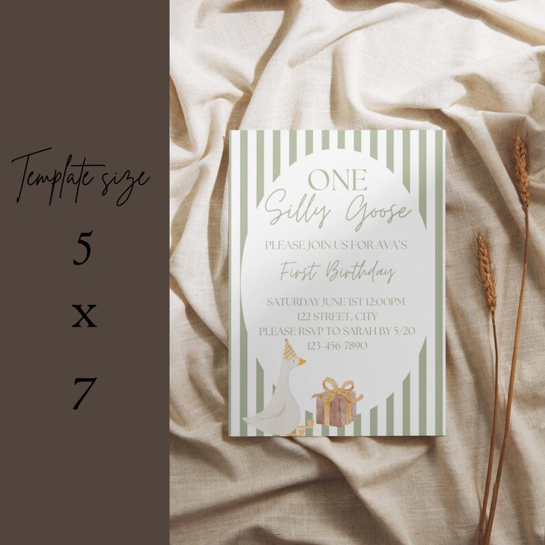 K&ouml;nnte beinhalten: Eine gr&uuml;n-wei&szlig; gestreifte Einladungskarte mit einer Gans, die einen Partyhut tr&auml;gt und eine Geschenkbox h&auml;lt. Der Text auf der Karte lautet "One Silly Goose, Please join us for Ava's First Birthday, Saturday June 1st 12:00pm, 122 Street, City, Please RSVP to Sarah by 5/20, 123-456-7890".